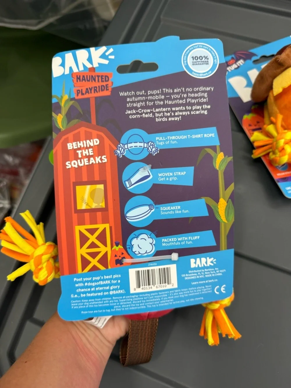 Bark festive pumpkin
